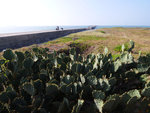P1044022