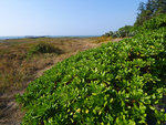 P1044025