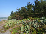 P1044030