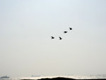 P2030062