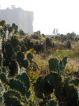 P2030067