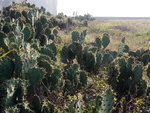 P2030069