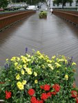 IMG_1695