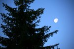 IMG_8064