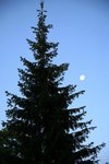 IMG_8065