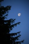 IMG_8066
