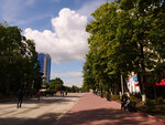 P1466945