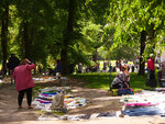 P1466949