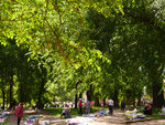 P1466950