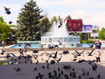 P1466990