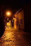 BUD_7639
