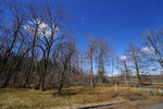 DSC00051