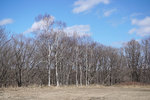 DSC04781