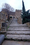 DSCF8923