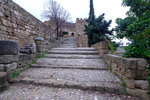 DSCF8924