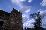 DSCF8934