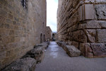 DSCF8941