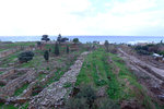 DSCF8943