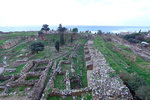 DSCF8948