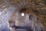 DSCF8951