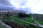 DSCF8953