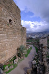 DSCF8956