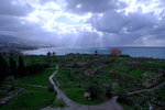 DSCF8979
