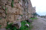 DSCF9008