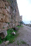DSCF9009