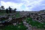 DSCF9012