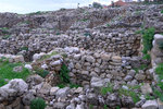 DSCF9016