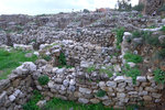 DSCF9017