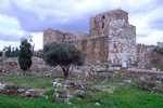 DSCF9026