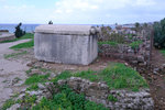 DSCF9036