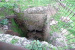 DSCF9075