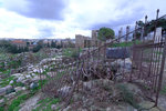 DSCF9076