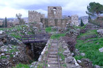 DSCF9082