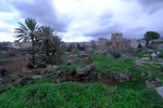 DSCF9085