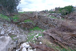 DSCF9089