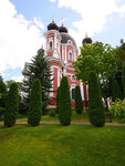 P1466828
