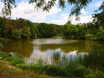 P1466905