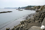 DSC00239
