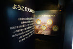 DSC00247