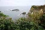 DSC00259
