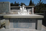 DP0Q1366