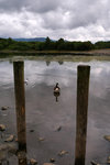 P1177298