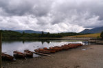 P1177302