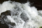 DSC03950
