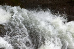 DSC03952
