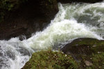 DSC03953